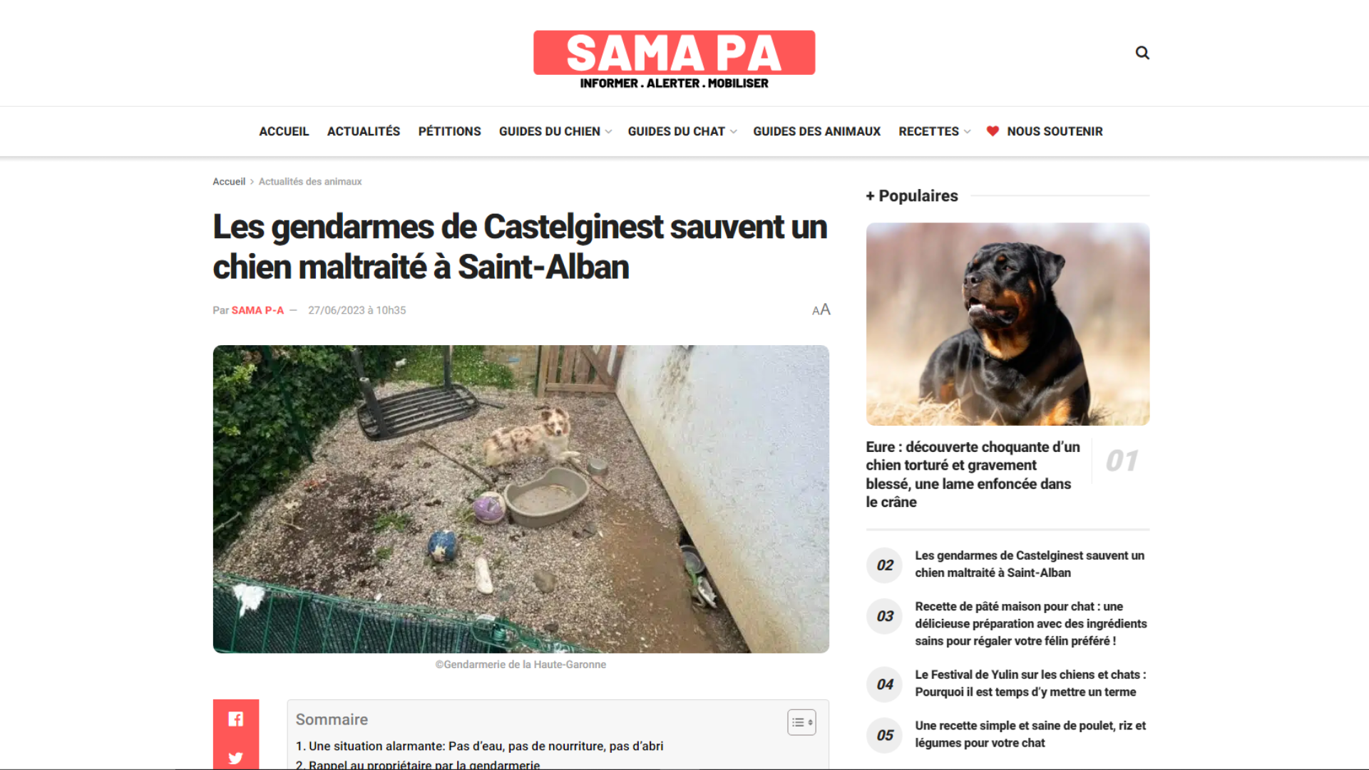 SAMA - PROTECTION ANIMALE PARLE DU SAUVETAGE DE SHALOW