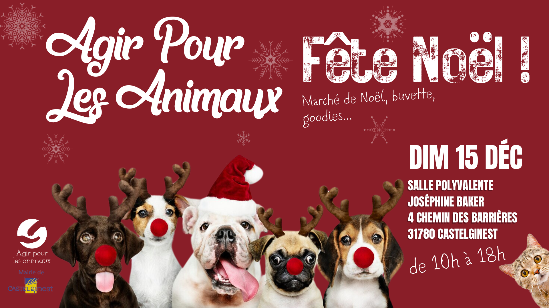 LE NOËL DES ANIMAUX DIM. 15 DÉC. 2024