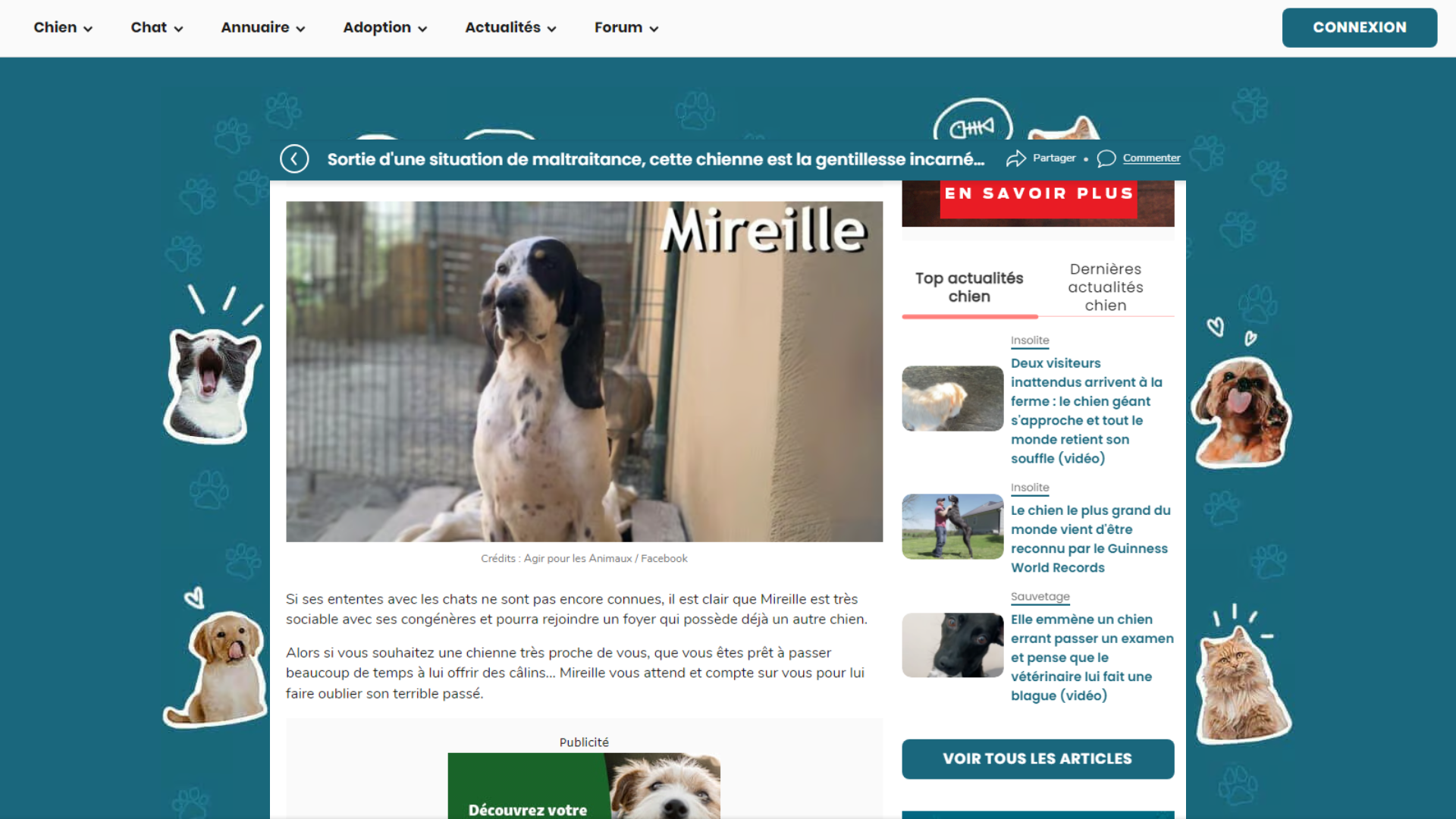 WAMIZ PARLE DU SAUVETAGE DE MIREILLE - 19 JUIN 2024