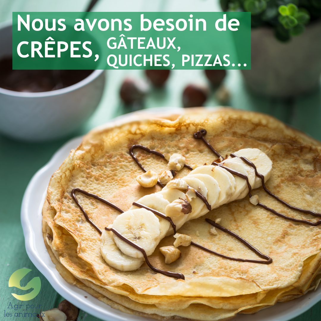 appel gateaux vide grenier 2024