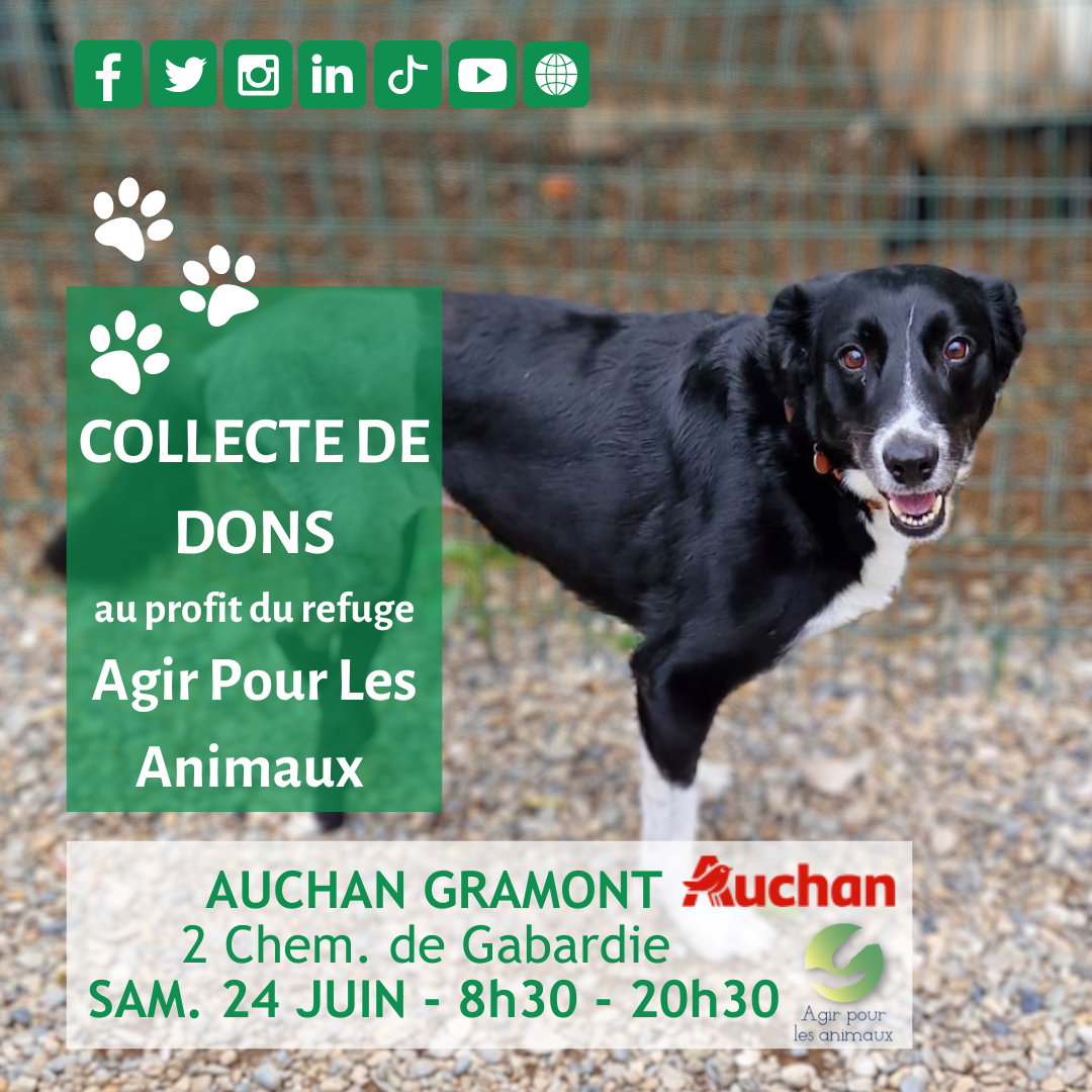 collecte 24 06 23 Auchan 1080x1080