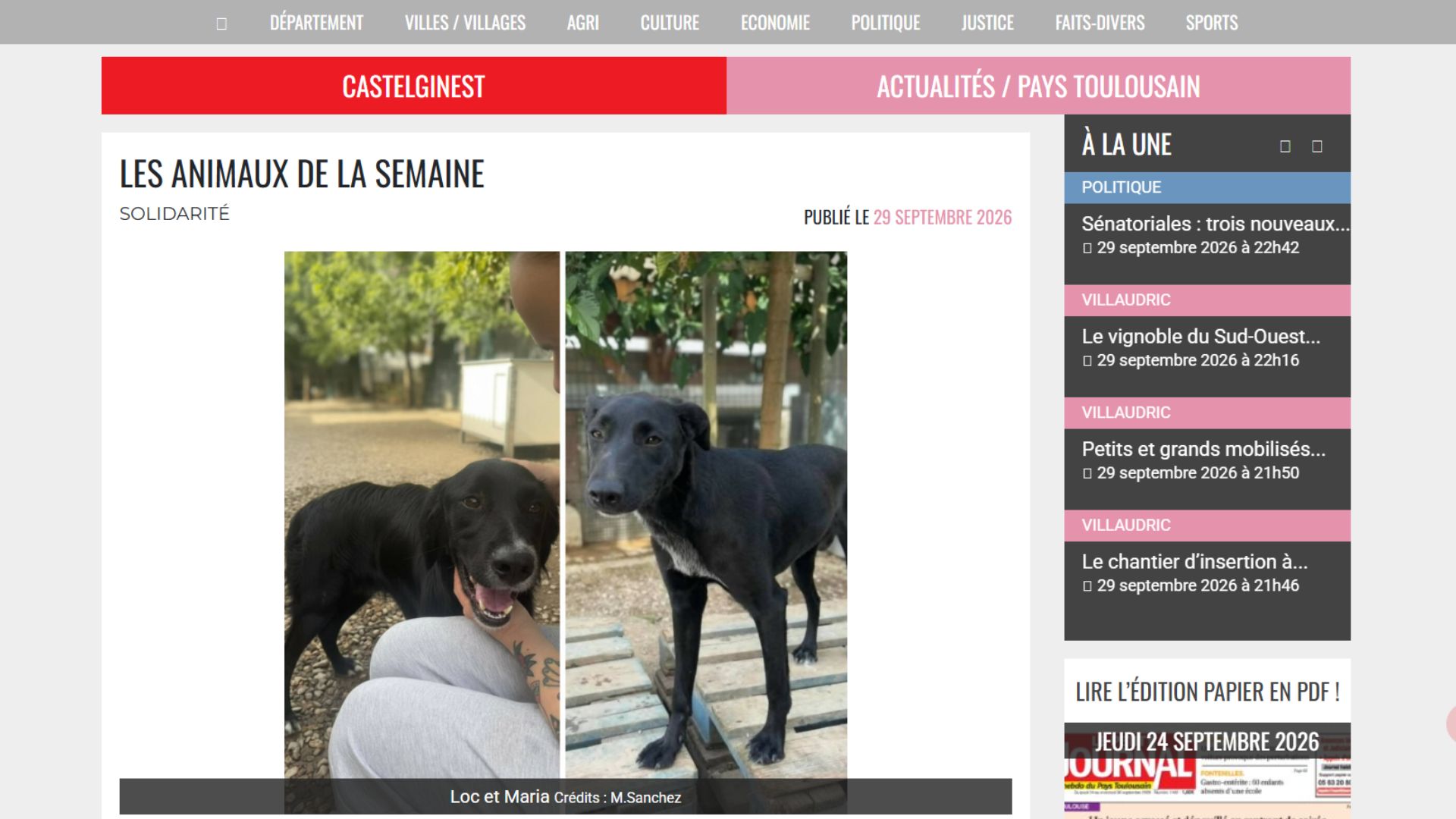 ILS CHERCHENT UNE FAMILLE - LE PETIT JOURNAL 29 SEPT. 2026