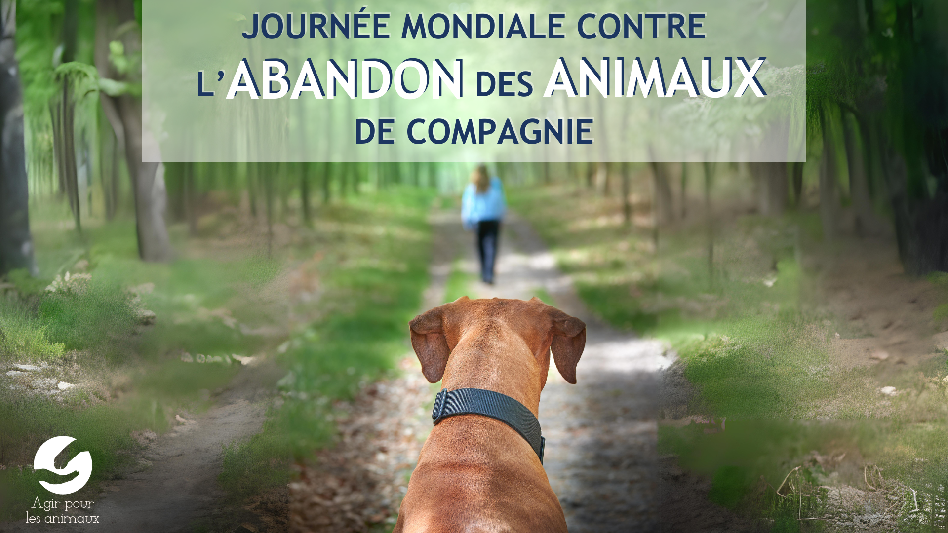 JOURNÉE MONDIALE CONTRE L'ABANDON DES ANIMAUX DE COMPAGNIE