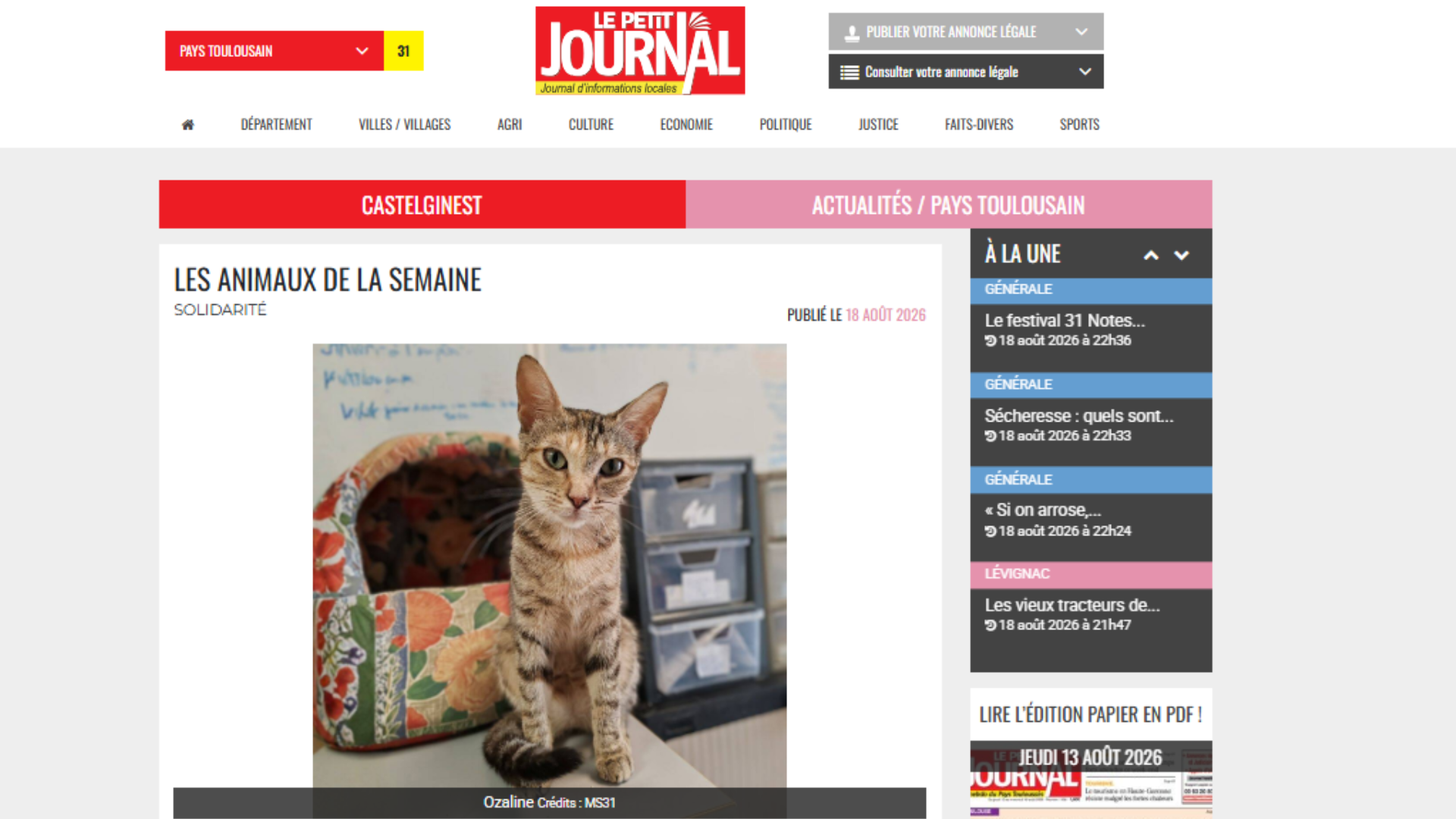 ILS CHERCHENT UNE FAMILLE - LE PETIT JOURNAL 19 AOÛT 2026