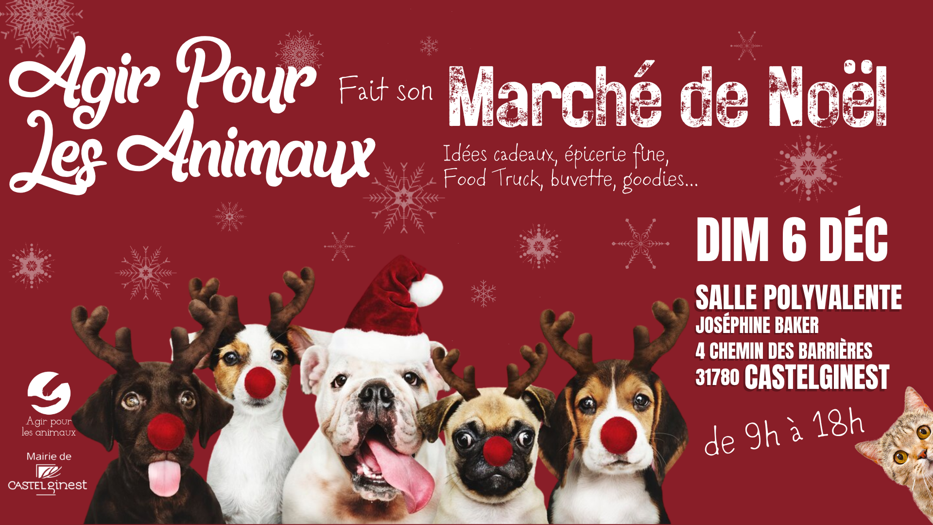 MARCHÉ DE NOËL LE 6 DÉC. À CASTELGINEST