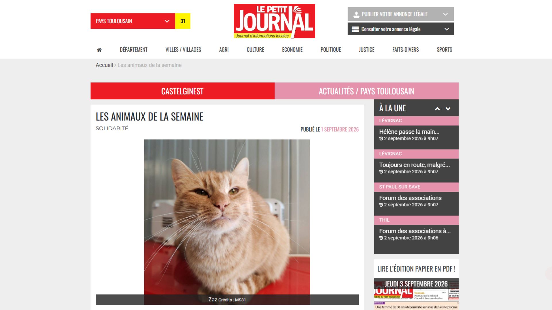 ILS CHERCHENT UNE FAMILLE - LE PETIT JOURNAL 1ER SEPT. 2026