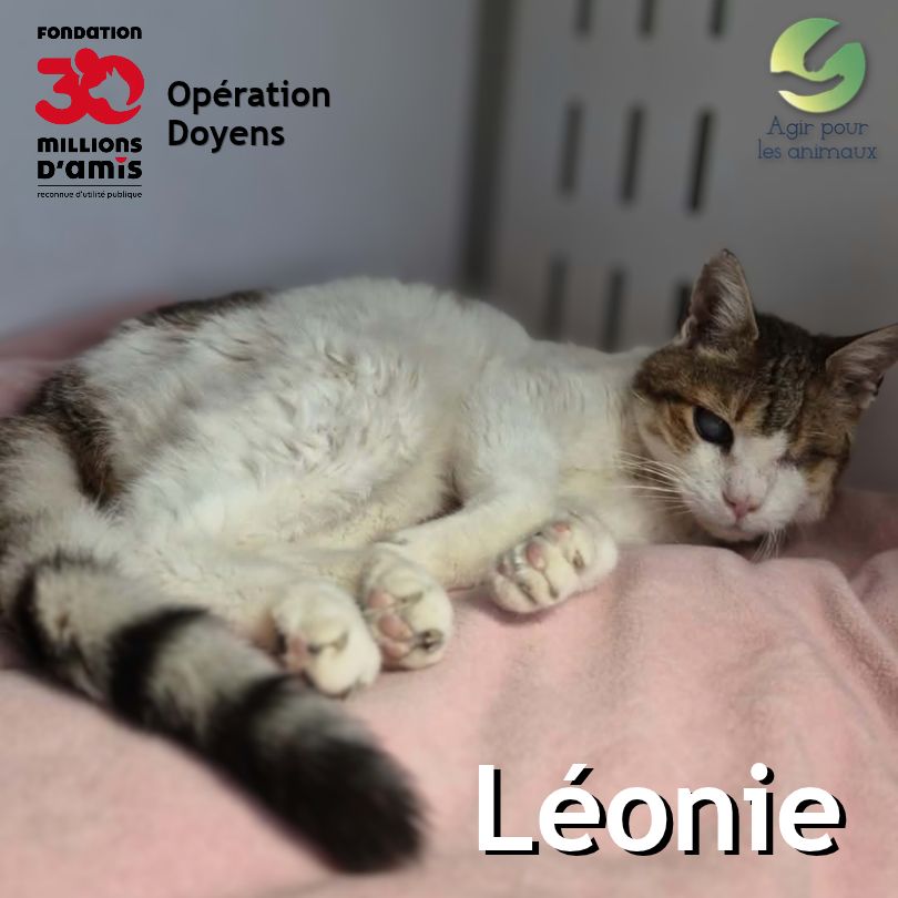 Panier retraite Léonie mamie chat 30 Millions d'amis