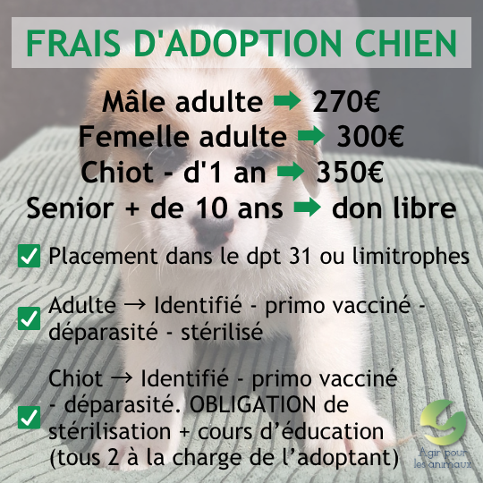 frais d'adoption chiens au 01.01.2026